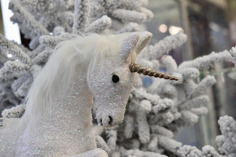 Unicorn Encounters